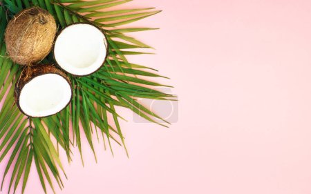 Téléchargez les photos : Feuilles de palmier et noix de coco sur fond rose. Pose plate avec espace de copie. - en image libre de droit