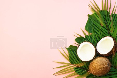 Téléchargez les photos : Plat d'été fond laïc. Feuilles de palmier et noix de coco sur fond rose. - en image libre de droit