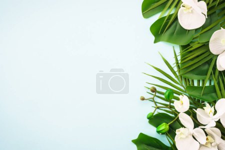 Photo for Summer flat lay on blue background. Tropical leaves, flowers and sea shells. Summer plants, tropical. - Royalty Free Image