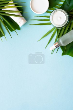 Foto de Productos cosméticos naturales. Crema, suero, tónico con hojas tropicales verdes. Piso sobre fondo azul con espacio para el diseño. - Imagen libre de derechos