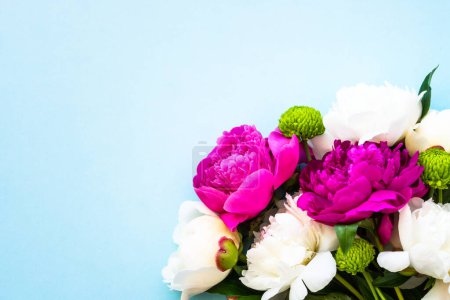 Téléchargez les photos : Fleurs pivoines, blanches et roses sur fond bleu. Carte de voeux. - en image libre de droit