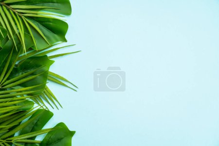Téléchargez les photos : Plat d'été fond laïc. Feuilles tropicales, feuilles de palmier et monstères sur fond bleu. - en image libre de droit