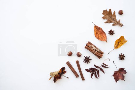 Téléchargez les photos : Composition créative d'automne. Feuilles d'automne, épices et noix sur blanc. - en image libre de droit