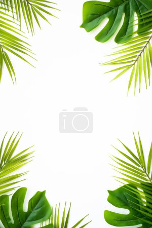 Téléchargez les photos : Plat d'été fond laïc. Feuilles tropicales, feuilles de palmier et monstères sur fond blanc. - en image libre de droit