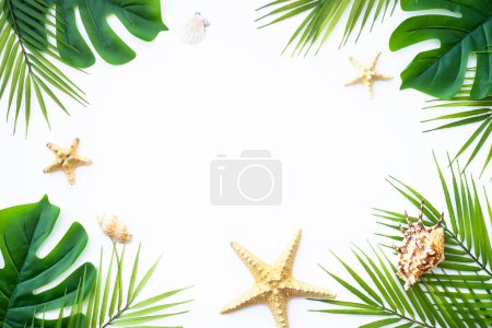 Téléchargez les photos : Plat d'été posé sur fond blanc. Feuilles tropicales, feuilles de palmier et coquillages. - en image libre de droit