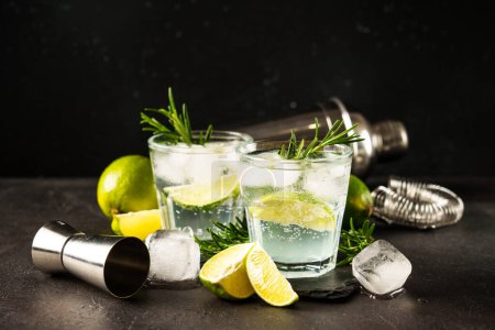 Photo for Gin tonic. Alcohol drink with gin, tonic, ice cubes, lime and rosemary. Close up on black. - Royalty Free Image
