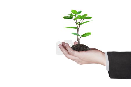 Photo for Human hands holding sprout young plant.environment Earth Day In the hands of trees growing seedlings - Royalty Free Image