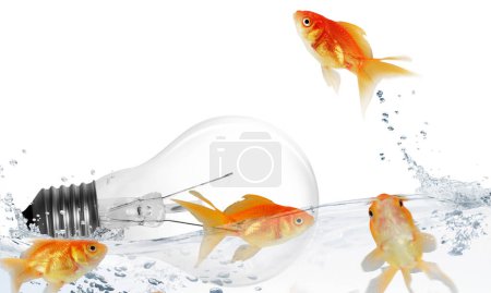 Photo for Ideas light bulb and goldfish - Royalty Free Image