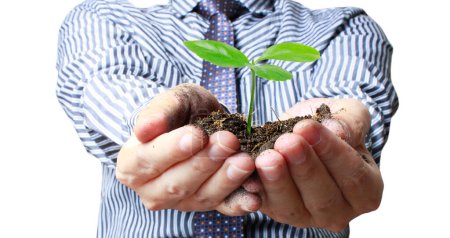 Téléchargez les photos : Plante verte dans une main, et la croissance des entreprises - en image libre de droit