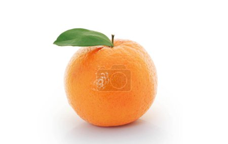 Téléchargez les photos : Orange isolé sur fond blanc - en image libre de droit