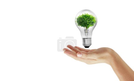 Photo for Light bulb ands plant in a hand - Royalty Free Image