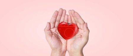 Foto de Manos sosteniendo el corazón rojo. conceptos de donación de salud cardíaca - Imagen libre de derechos