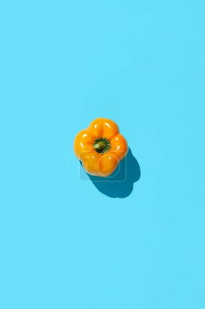 Photo for Minimal top view of single fresh yellow pepper on vibrant blue background, copy space - Royalty Free Image