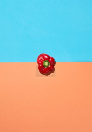 Photo for Contrasted top view with single red pepper on minimal pastel background, healthy eating and vegan concept, copy space - Royalty Free Image