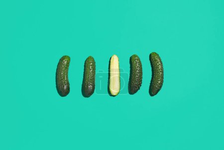 Photo for Minimal top view of fresh green cucumbers on vibrant blue background, healthy eating and vegan concept, copy space - Royalty Free Image