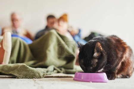 Foto de Retrato de un pequeño gato negro comiendo de un tazón en un refugio de refugiados con la familia en el fondo, espacio para copiar - Imagen libre de derechos