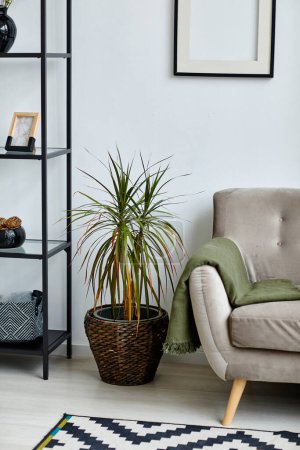 Foto de Imagen de fondo vertical del interior de la sala de estar mínima con artículos de decoración en estantes abiertos - Imagen libre de derechos