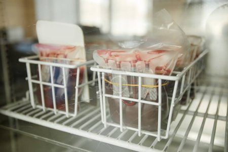 Photo for Close up of blood bags supply in medical fridge at clinic, copy space - Royalty Free Image