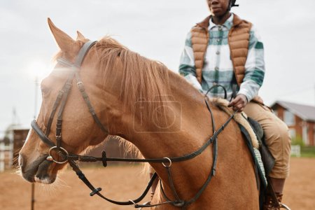 Téléchargez les photos : Plan recadré de beau cheval brun au soleil avec cavalier féminin méconnaissable, fusée éclairante - en image libre de droit