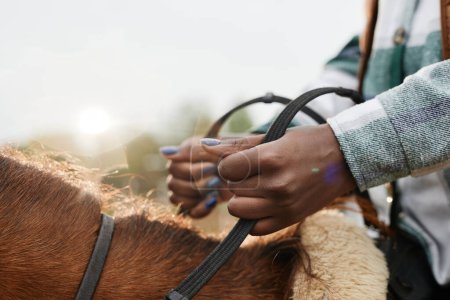 Téléchargez les photos : Gros plan rêveur de jeune femme chevauchant cheval au soleil se concentrer sur les mains féminines tenant les rênes, espace de copie - en image libre de droit