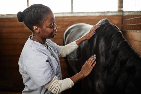 Téléchargez les photos : Portrait latéral d'une vétérinaire prenant soin de son cheval dans des écuries et souriant - en image libre de droit