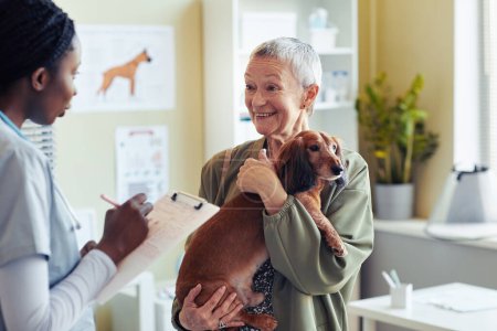 Photo for Portrait of smiling senior woman with dog dachshund visiting veterinarian and talking to vet assistant - Royalty Free Image