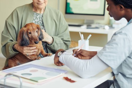 Photo for Close up of cute dachshund dog visiting veterinarian with senior woman holding pet gently at checkup - Royalty Free Image
