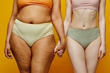 Téléchargez les photos : Gros plan de deux vraies jeunes femmes portant des sous-vêtements et tenant la main sur fond jaune se concentrant sur différentes formes de corps - en image libre de droit
