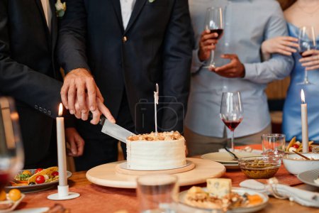 Photo for Closeup of gay couple cutting cake together during wedding reception, same sex marriage, copy space - Royalty Free Image