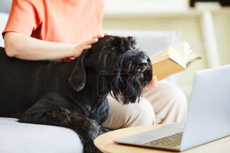 Foto de Negro schnauzer sentado en el sofá junto con su dueño mientras leía un libro y acariciando a su perro - Imagen libre de derechos