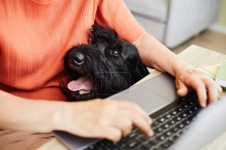 Téléchargez les photos : Gros plan de propriétaire faisant son travail en ligne sur ordinateur portable à table avec chien assis à proximité d'elle - en image libre de droit