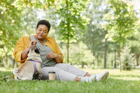 Téléchargez les photos : Portrait complet de femme âgée noire jouant avec un chien mignon dans le parc tout en étant assis sur l'herbe et profitant d'une journée ensoleillée, espace de copie - en image libre de droit