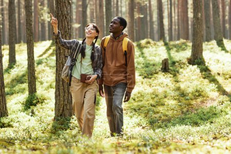 Téléchargez les photos : Couple multiethnique regardant la belle nature tout en marchant ensemble dans la forêt - en image libre de droit