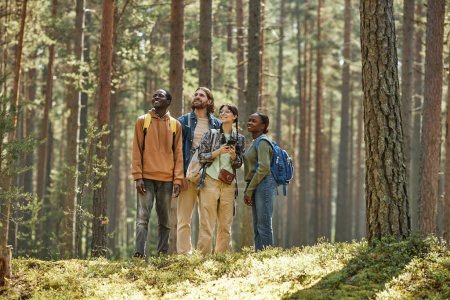 Téléchargez les photos : Groupe de jeunes profitant de la nature tout en se tenant dans la forêt pendant la randonnée - en image libre de droit