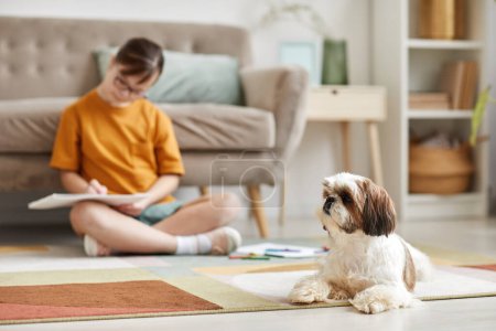 Foto de Retrato de lindo perro Shi-Tsu acostado en la alfombra en casa con la chica adolescente en el fondo, espacio de copia - Imagen libre de derechos