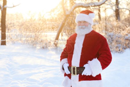 Photo for Waist up portrait of traditional Santa Claus smiling at camera outdoors in winter forest with copy space - Royalty Free Image