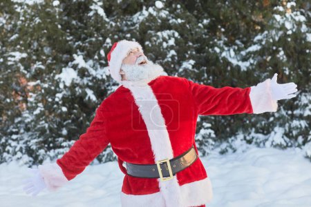 Waist up portrait of traditional Santa Claus enjoying winter forest outdoors with arms out-stock-photo