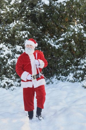 Photo for Vertical full length portrait of traditional Santa Claus carrying sack with presents in winter forest - Royalty Free Image