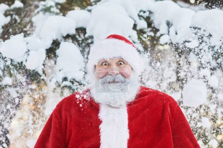 Téléchargez les photos : Portrait du Père Noël traditionnel à l'extérieur dans la forêt d'hiver regardant surpris avec de grands yeux, l'espace de copie - en image libre de droit