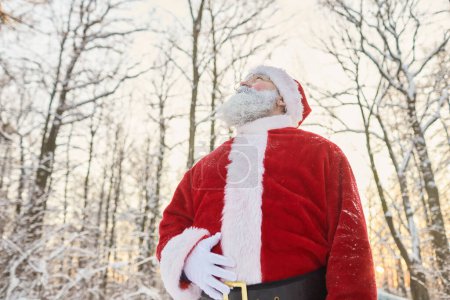 Téléchargez les photos : Portrait en angle bas du Père Noël traditionnel vêtu d'un manteau rouge dans la forêt d'hiver et levant les yeux, espace de copie - en image libre de droit