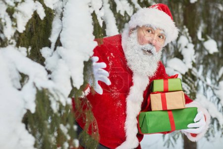 Foto de Cintura hacia arriba retrato de Santa Claus tradicional mirando alrededor del árbol en el bosque y la celebración de regalos - Imagen libre de derechos