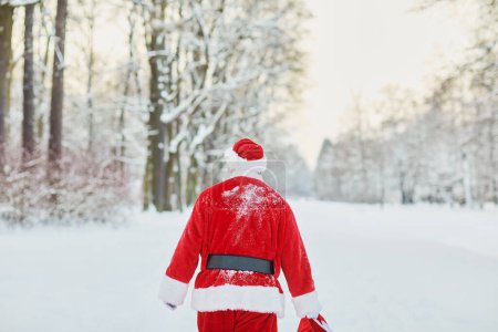 Photo for Back view of traditional Santa Claus walking away in serene winter forest, copy space - Royalty Free Image