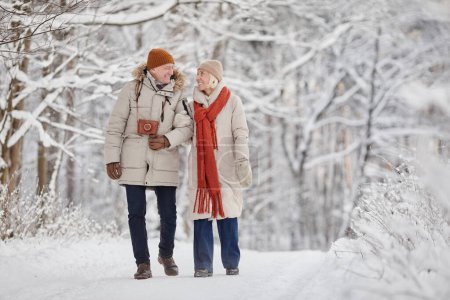 Téléchargez les photos : Portrait complet d'heureux couple de personnes âgées profitant d'une promenade dans la forêt d'hiver et se regardant avec amour, espace de copie - en image libre de droit