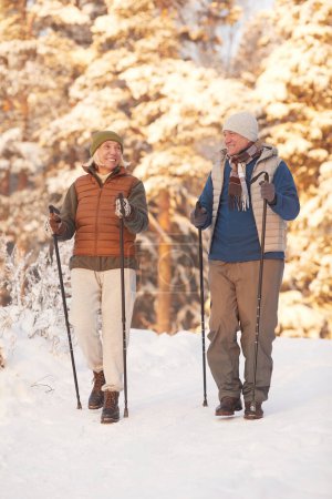 Photo for Full length portrait of active senior couple walking with poles in beautiful winter forest and smiling - Royalty Free Image