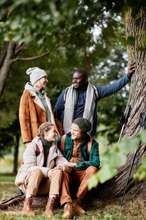 Téléchargez les photos : Groupe diversifié de quatre amis profitant de la randonnée en forêt - en image libre de droit