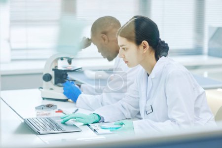 Photo for Side view portrait of Middle Eastern young woman working in medical laboratory behind glass wall and using laptop - Royalty Free Image