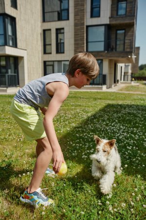 Téléchargez les photos : Portrait complet d'un jeune garçon jouant avec un petit chien au soleil dans un complexe d'habitation moderne - en image libre de droit