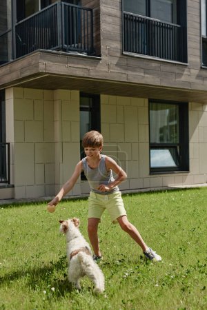 Téléchargez les photos : Portrait complet d'un garçon souriant jouant avec un chien mignon sur la pelouse au soleil - en image libre de droit
