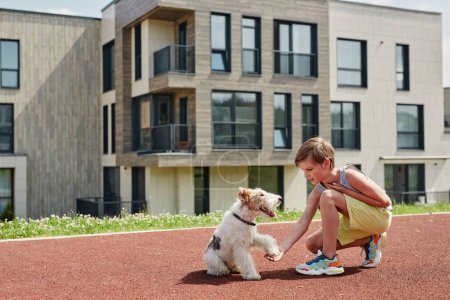 Téléchargez les photos : Portrait latéral du petit garçon jouant avec le chien mignon dans la lumière du soleil et tenant la patte, espace de copie - en image libre de droit