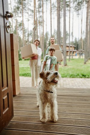 Téléchargez les photos : Portrait vertical de mignon petit chien marchant dans une nouvelle maison avec la famille - en image libre de droit
